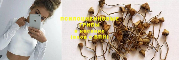 а пвп мука Богородск
