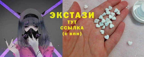 СК Богородицк